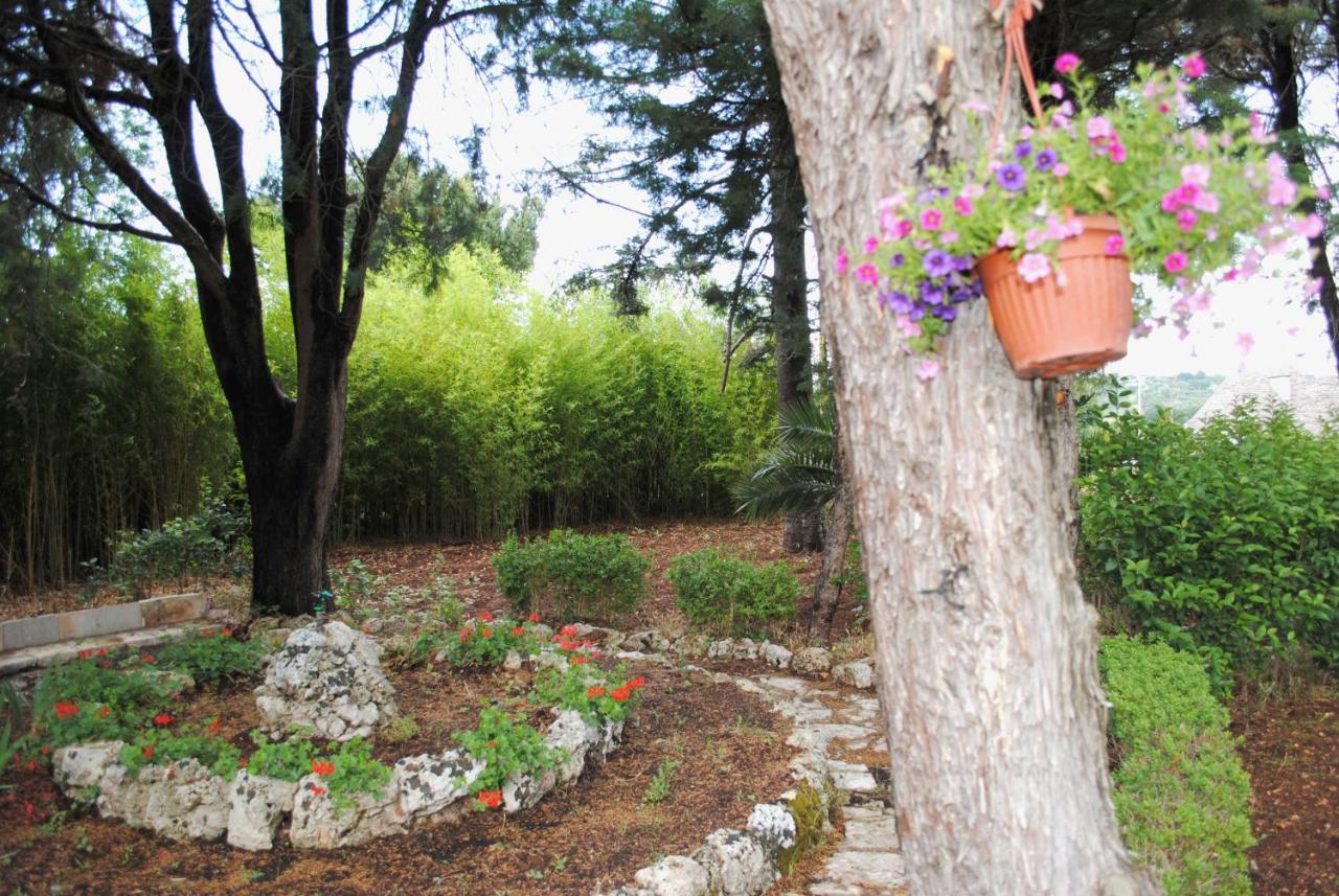 Dimora Romano Acomodação com café da manhã Alberobello Exterior foto