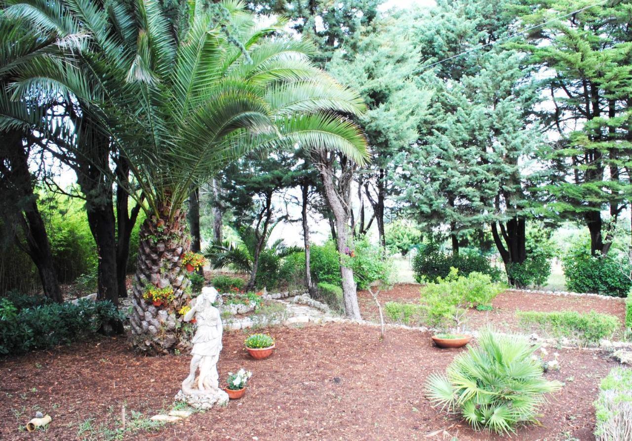 Dimora Romano Acomodação com café da manhã Alberobello Exterior foto